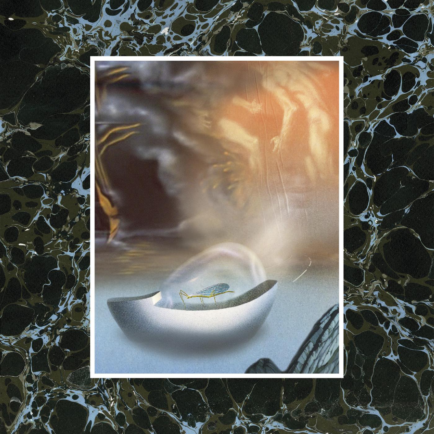 Wand - Laughing Matter | Cassette