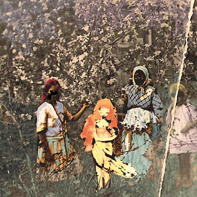 PAAVOHARJU - Laulu Laakson Kukista | CD