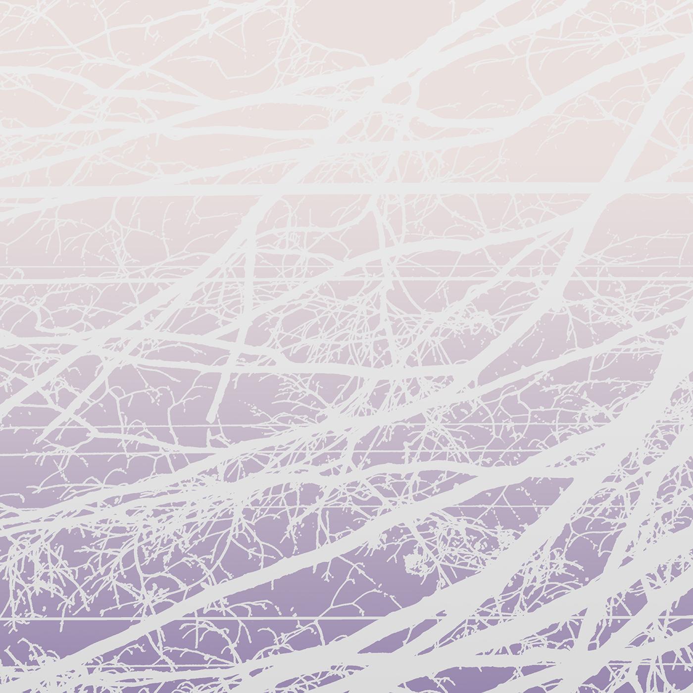 Lea Bertucci - Metal Aether | CD