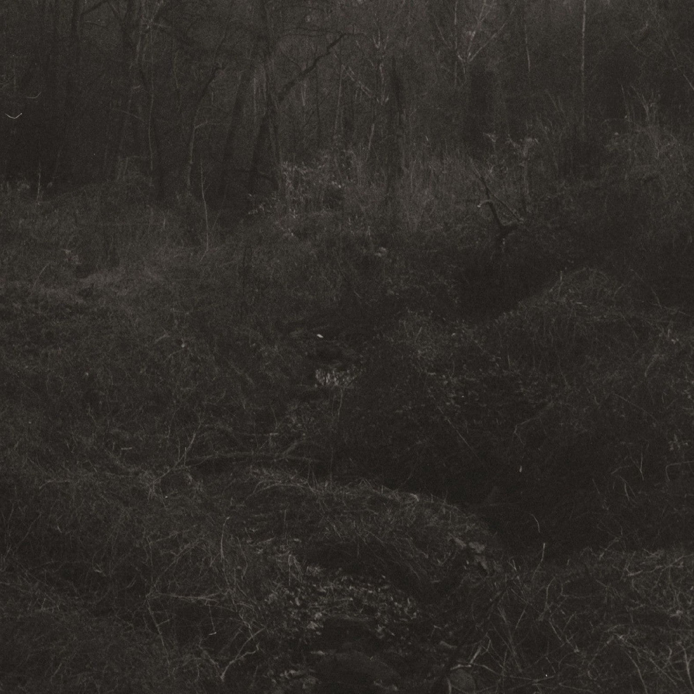 Lesley Mok - Transient | Vinyl