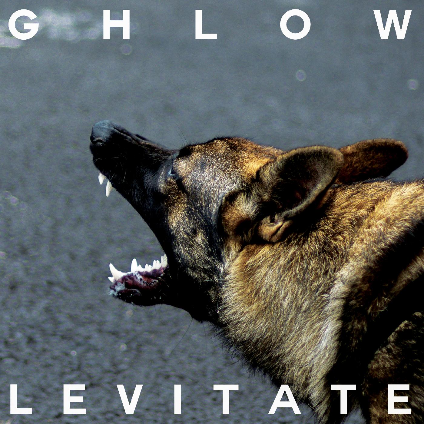 Ghlow | Levitate | Vinyl
