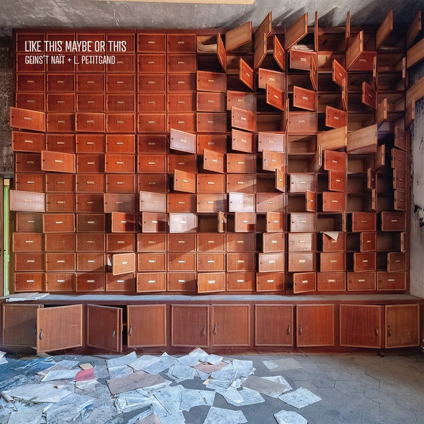 GEINS'T NAIT & LAURENT PETITGAND - Like This Maybe Or This | Vinyl