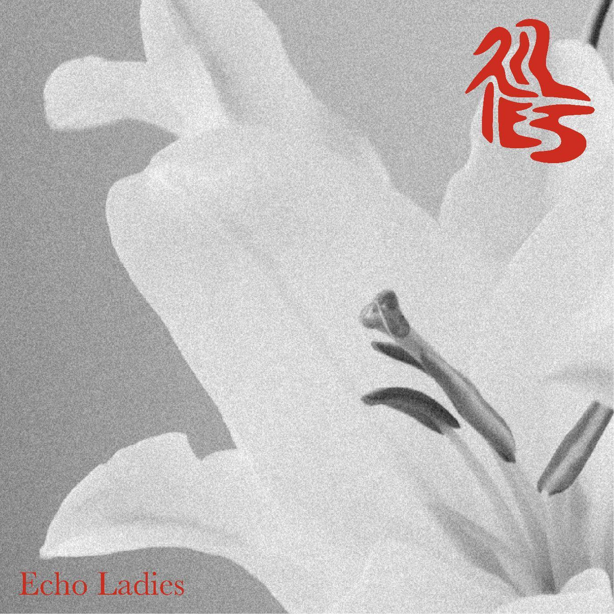 Echo Ladies - Lilies | CD