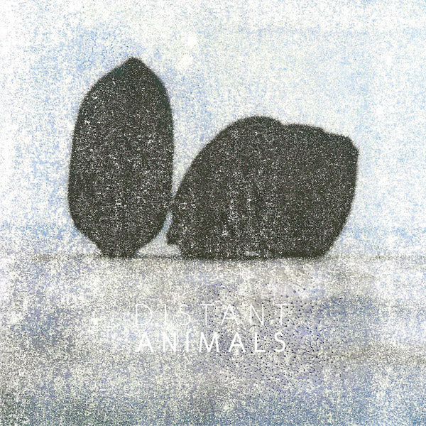 DISTANT ANIMALS - Lines | Vinyl