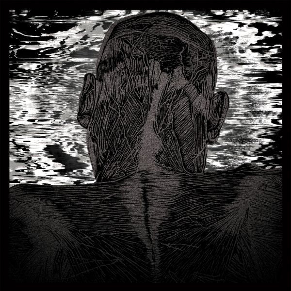 Asher Levitas - Lit Harness | CD