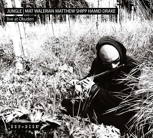 JUNGLE: MAT WALERIAN/MATTHEW SHIPP/HAMID DRAKE - Live at Okuden | CD