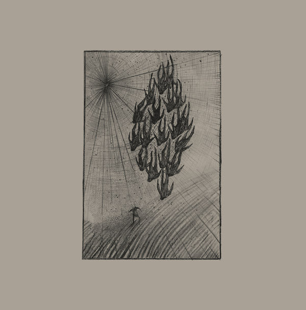 AINE O'DWYER - Locusts | Vinyl
