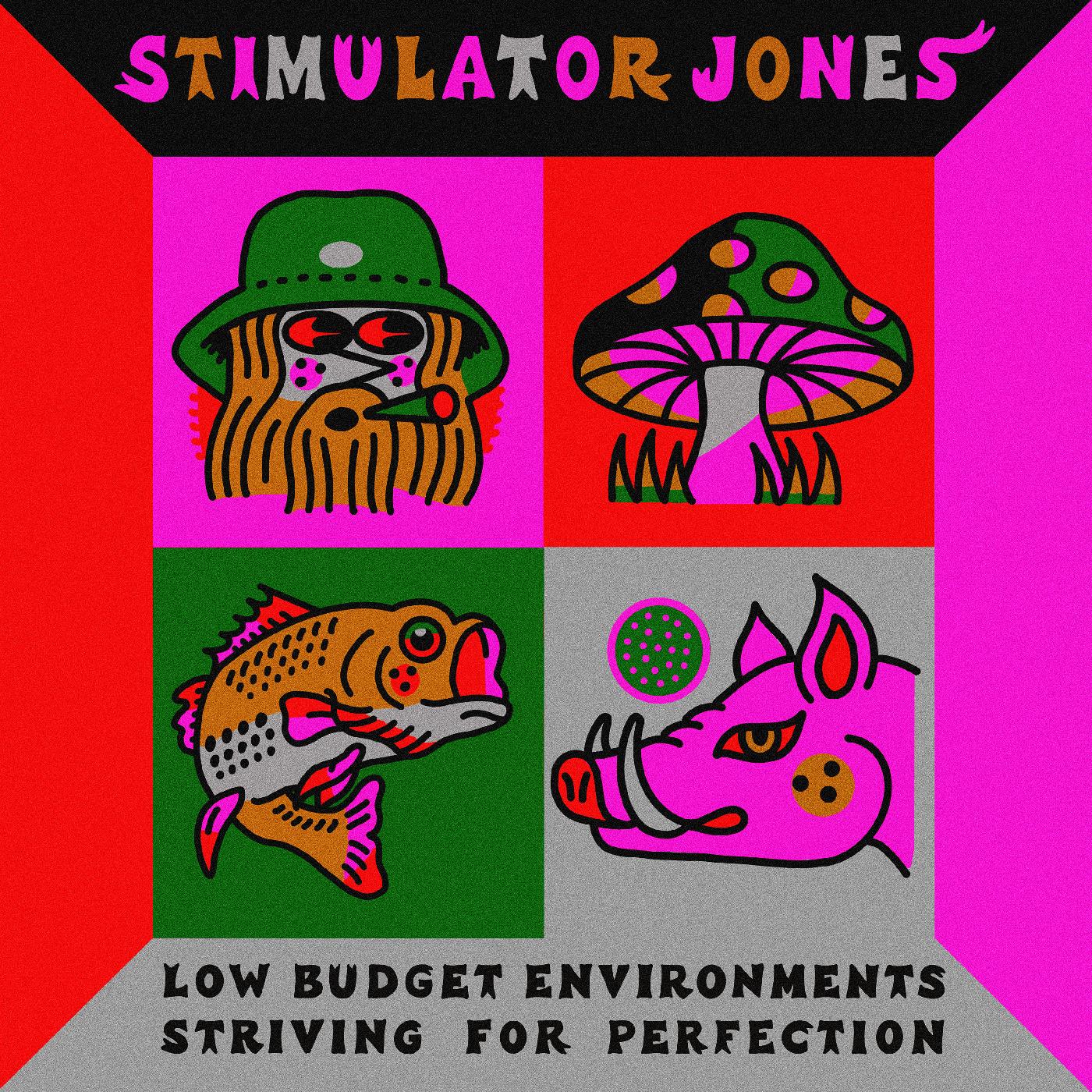 Stimulator Jones - Low Budget Environments Striving For Perfection | Vinyl