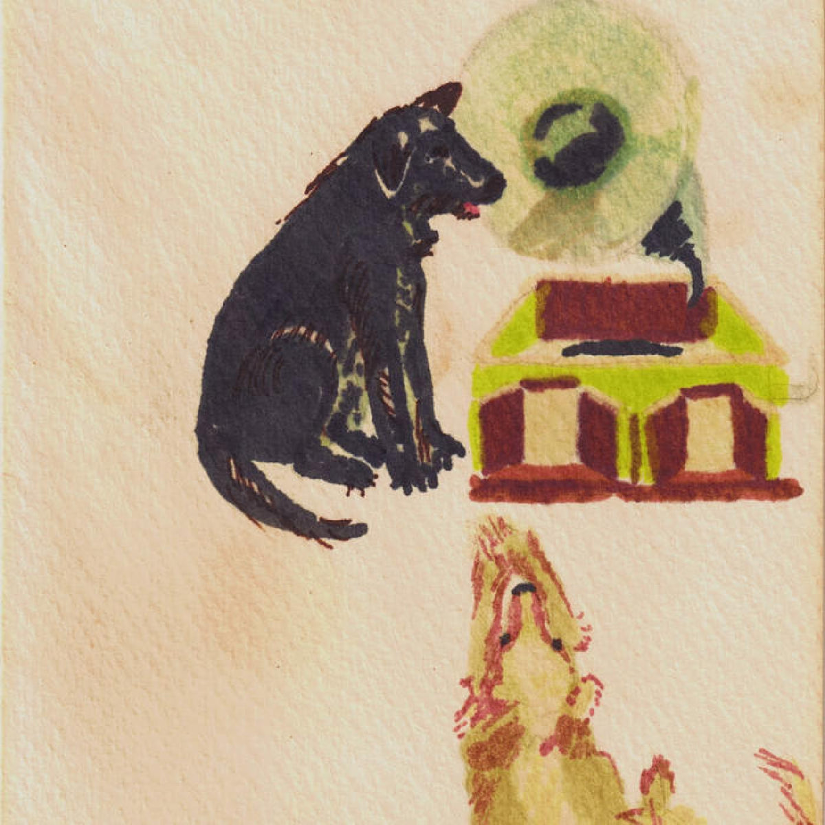 Dwaal Troupe - Lucky Dog | Vinyl