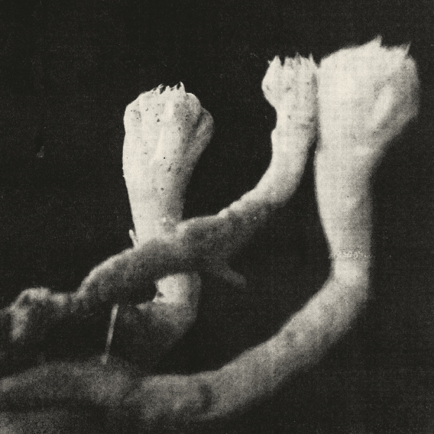 Läuten Der Seele | Unterhaltungen Mit Larven Und Überresten (Indie Exclusive) | Vinyl