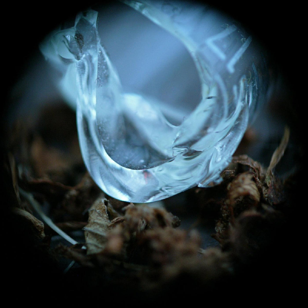Ossicles - Mantelpiece | CD