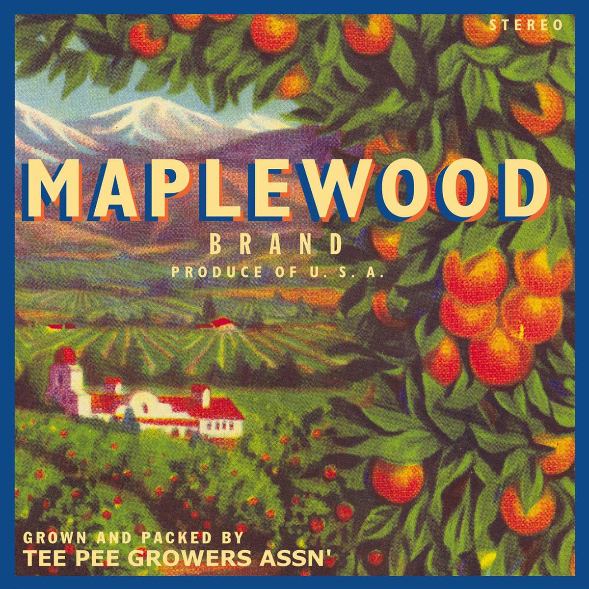 Maplewood - Maplewood | CD