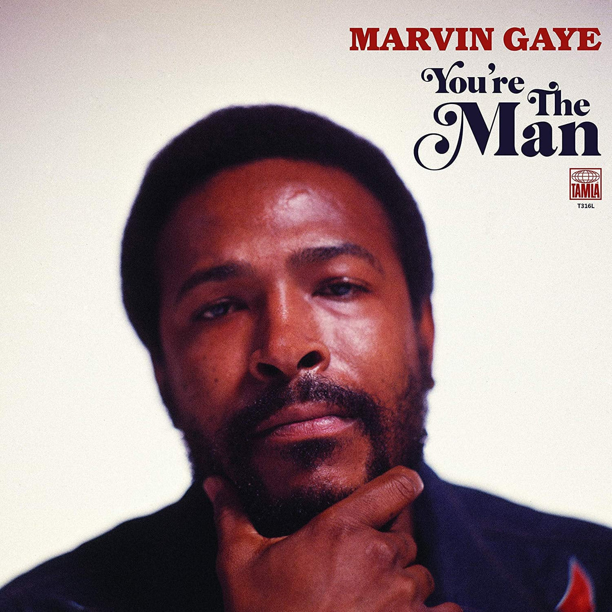 Marvin Gaye - You're The Man | Vinyl