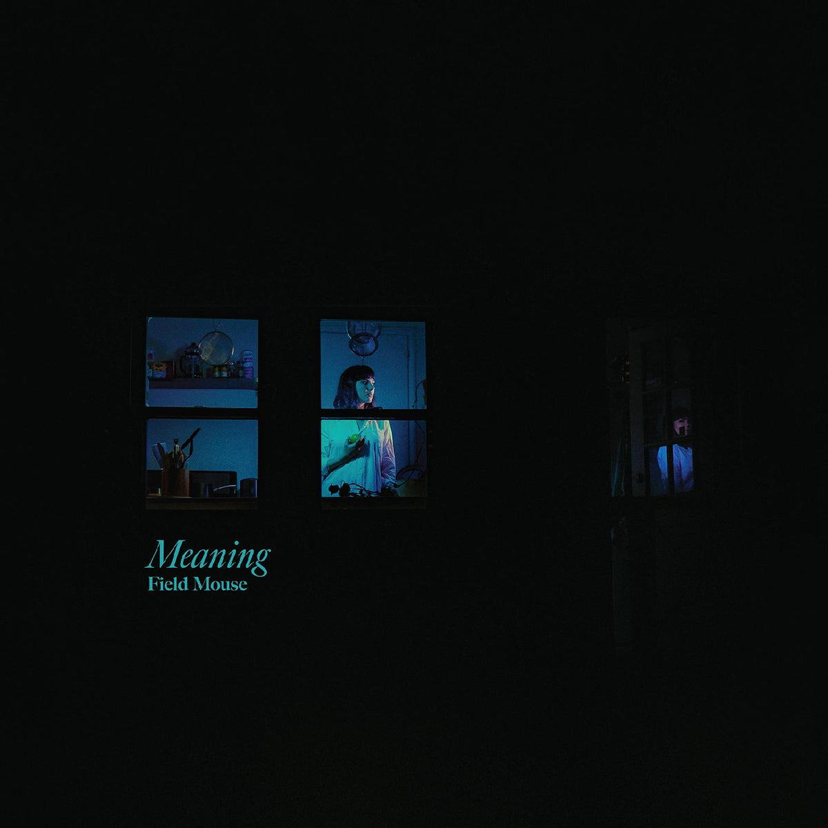Field Mouse - Meaning | Cassette