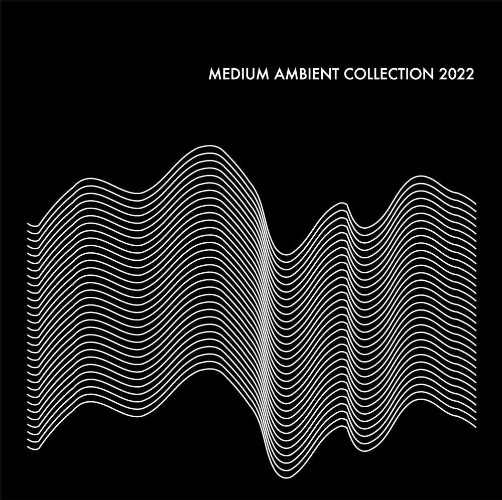 Various Artists - Medium Ambient Collection 2022 Black | Vinyl