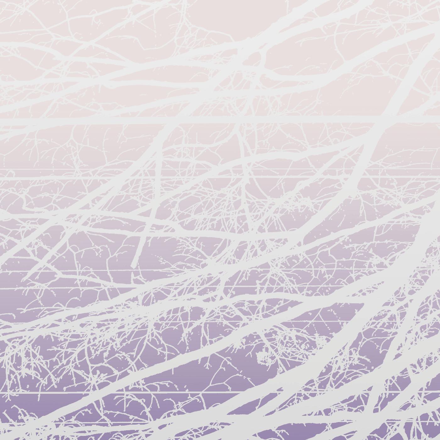 Lea Bertucci - Metal Aether / Resonant Field | Vinyl