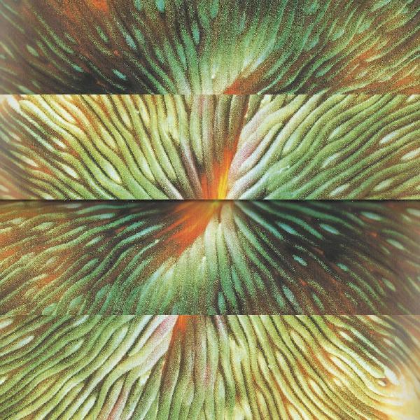 Active Surplus - Mirroring | Vinyl
