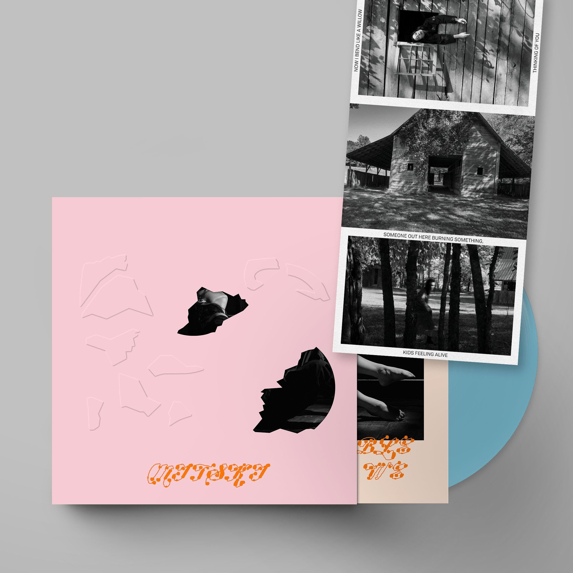 Mitski - The Land Is Inhospitable and So Are We (Indie Exclusive w/ Baby Pink Slipcase)' (Robin Egg Blue Vinyl LP) | Vinyl