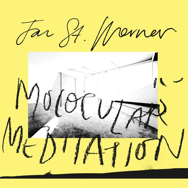 JAN ST. WERNER - Molocular Meditation | Vinyl