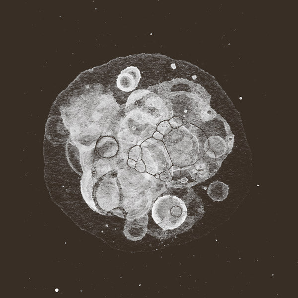 RAFAEL TORAL - Moon Field | CD