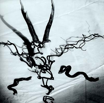 HEAD OF WANTASTIQUET - Mortague | Vinyl
