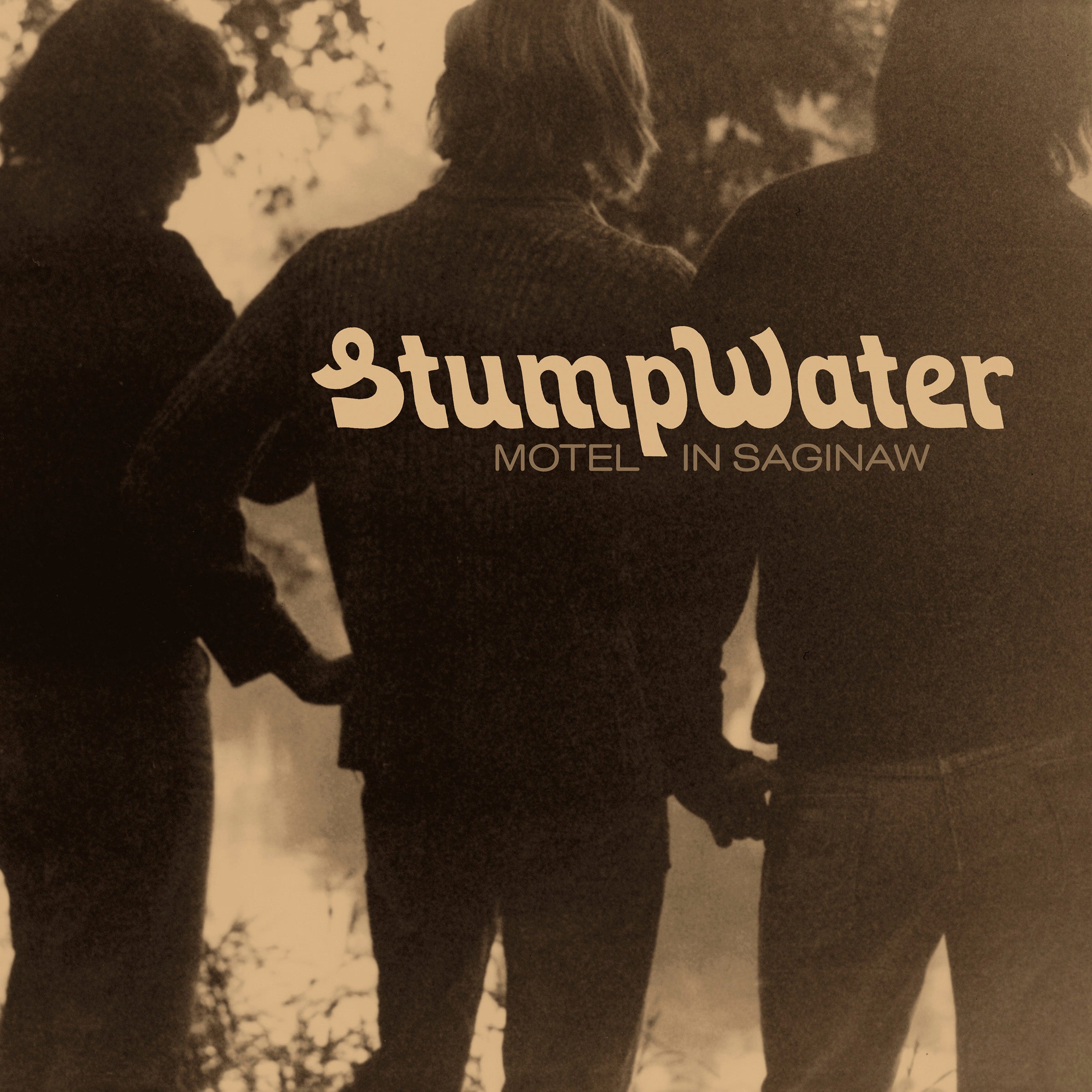 Stumpwater - Motel In Saginaw | Vinyl
