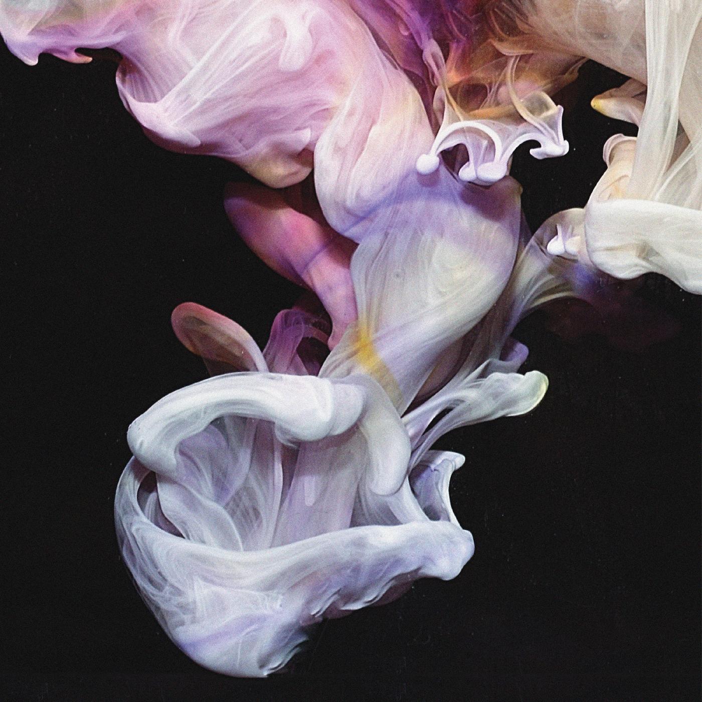 Simian Mobile Disco - Murmurations | CD