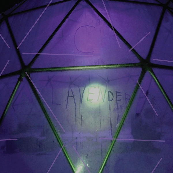 C. LAVENDER - Myth Of Equilibrium | Vinyl