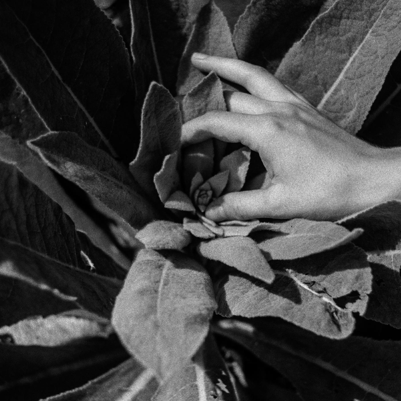 Nanook Of The North | Heide (Indie Exclusive Silver Vinyl) | Vinyl