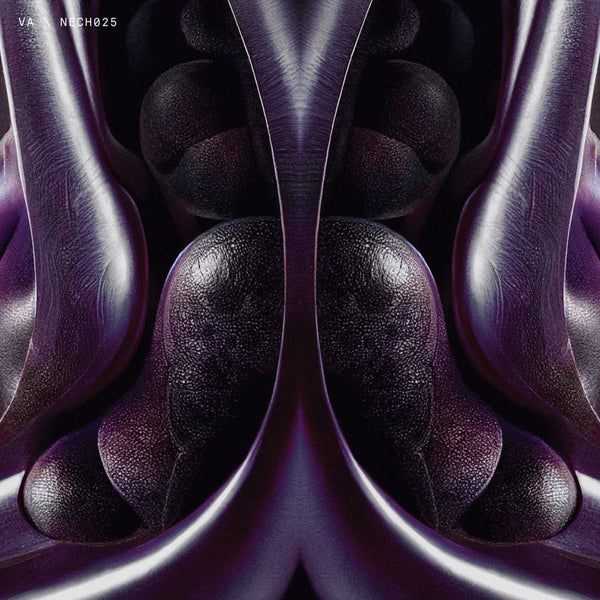 VA - NECH025 | Vinyl