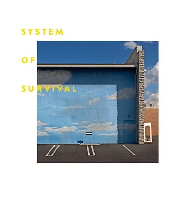 SYSTEM OF SURVIVAL - Needle and Thread | CD