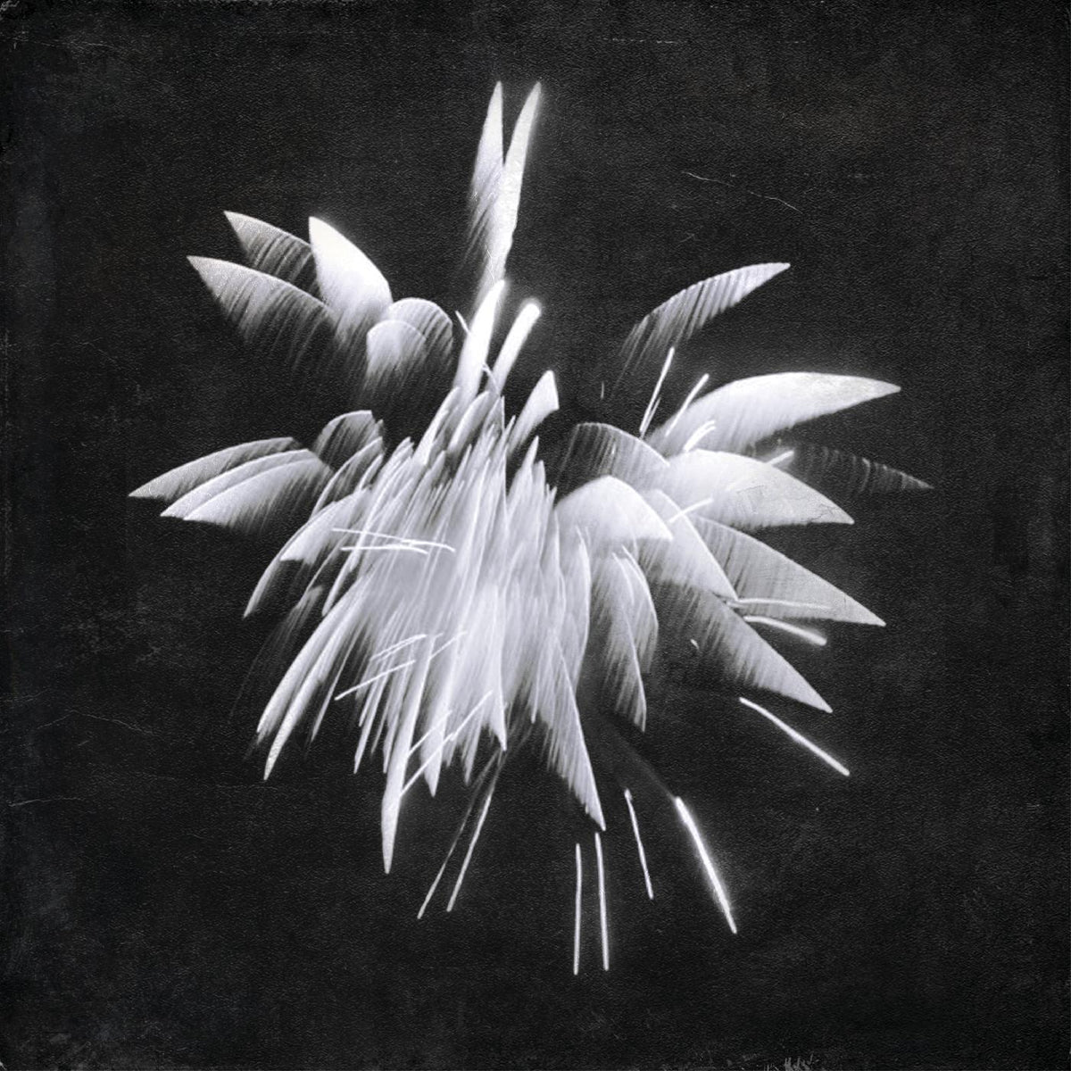Brent Windler - New Morning | Vinyl