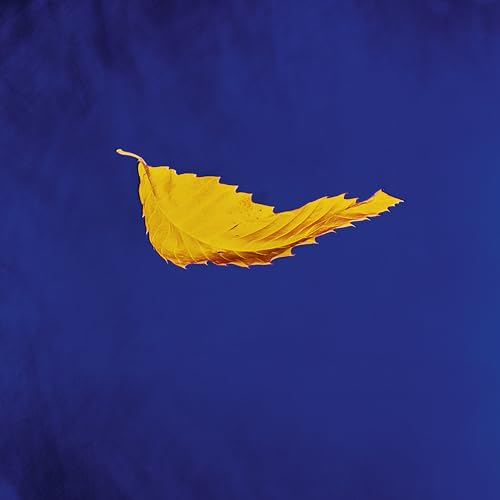 New Order - True Faith (2023 Remaster) | Vinyl