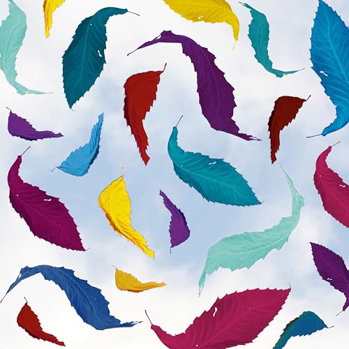 New Order - True Faith Remix (2023 Remaster) | Vinyl