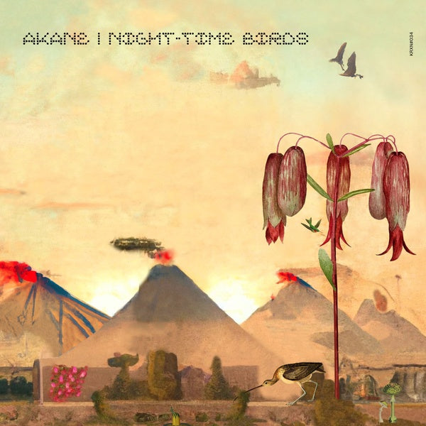 AKANE - Night-Time Birds | Vinyl