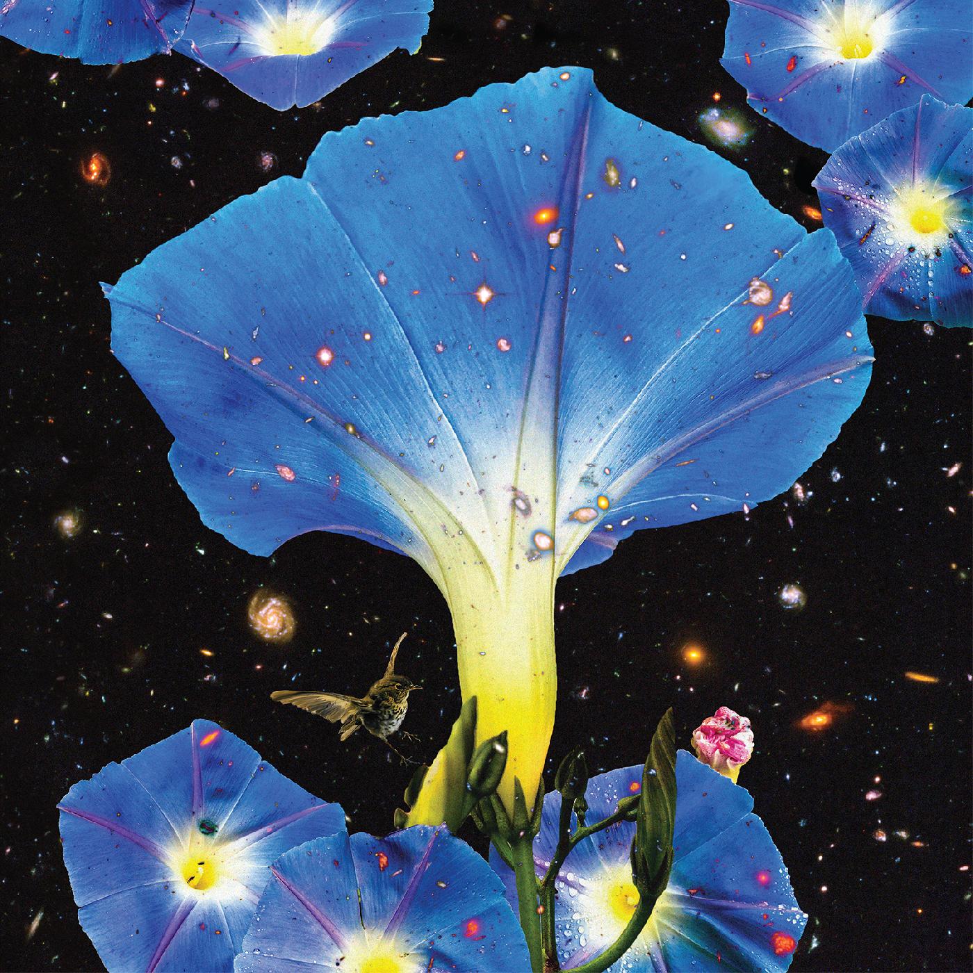 Sarah Louise - Nighttime Birds and Morning Stars | Vinyl