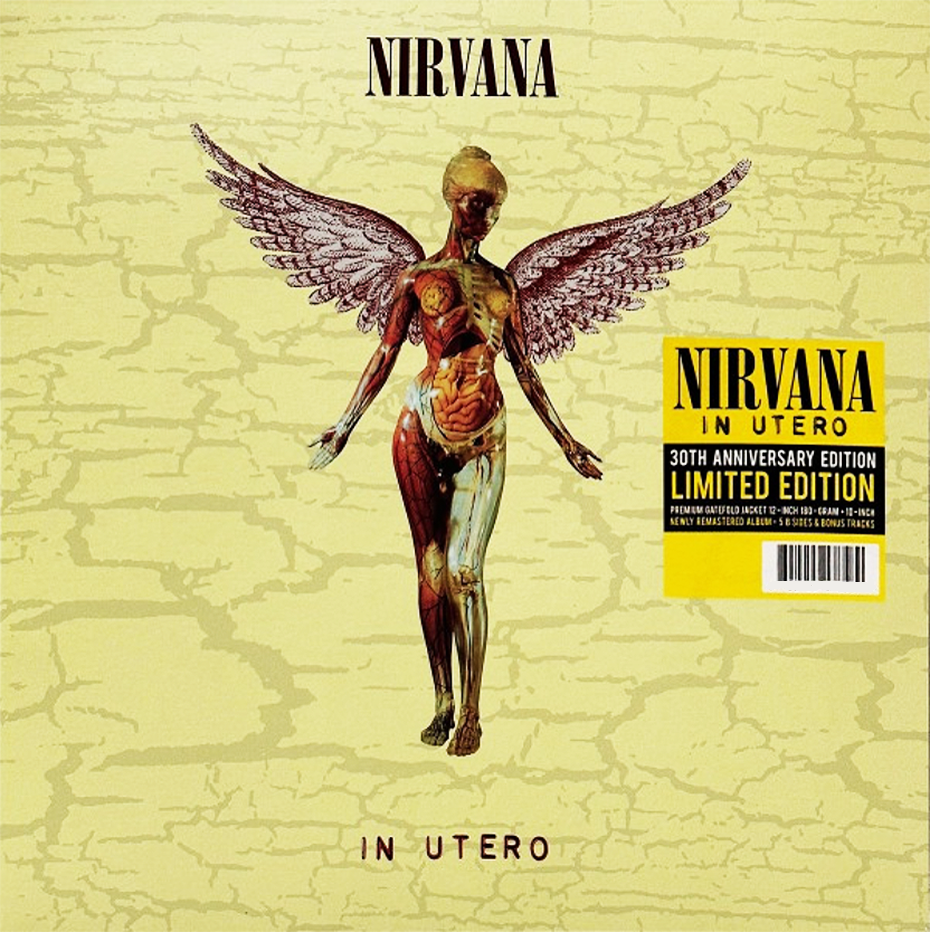Nirvana - In Utero (30th Anniversary Edition) (Super Deluxe Edition, 8 Lp's, Boxset) | Vinyl