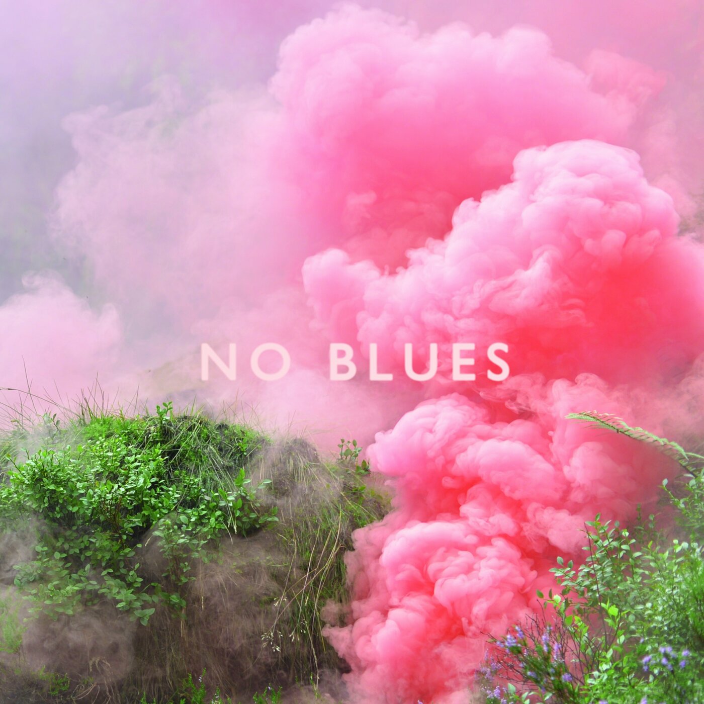 Los Campesinos! - No Blues | CD
