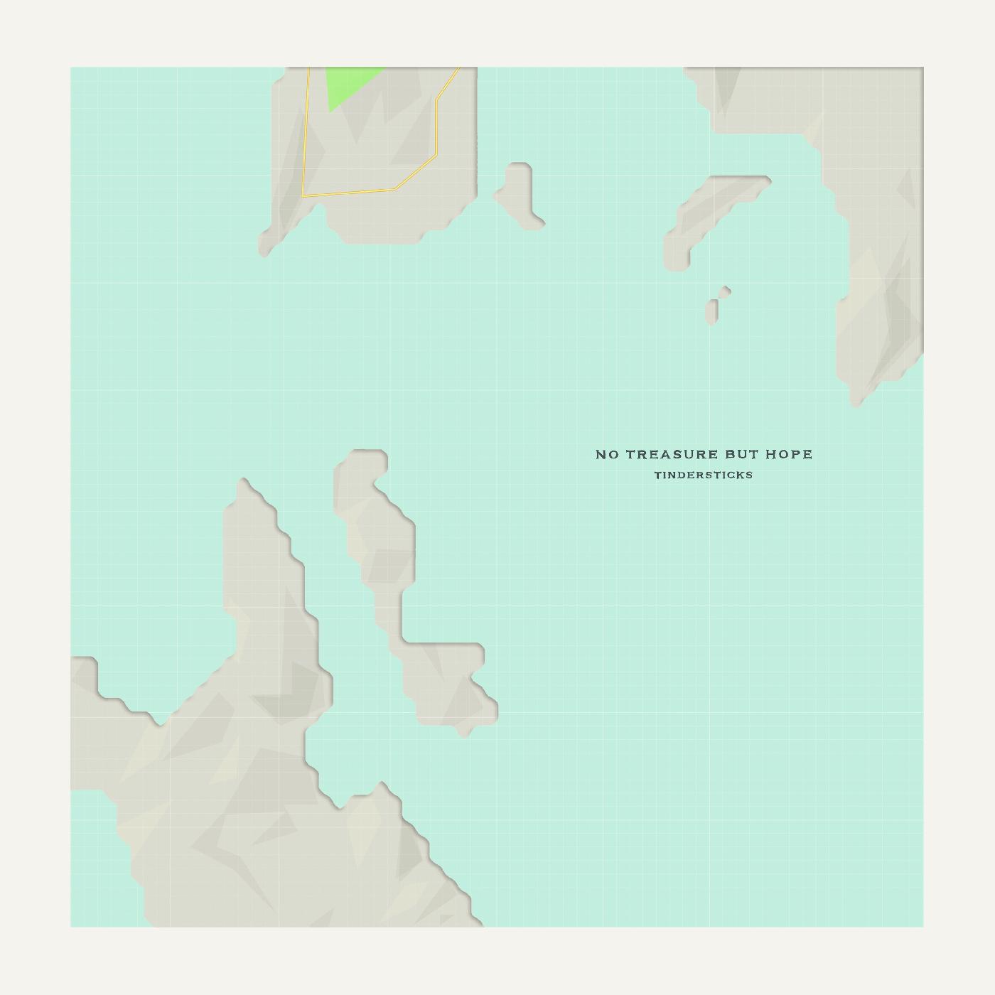 Tindersticks | No Treasure But Hope | Vinyl