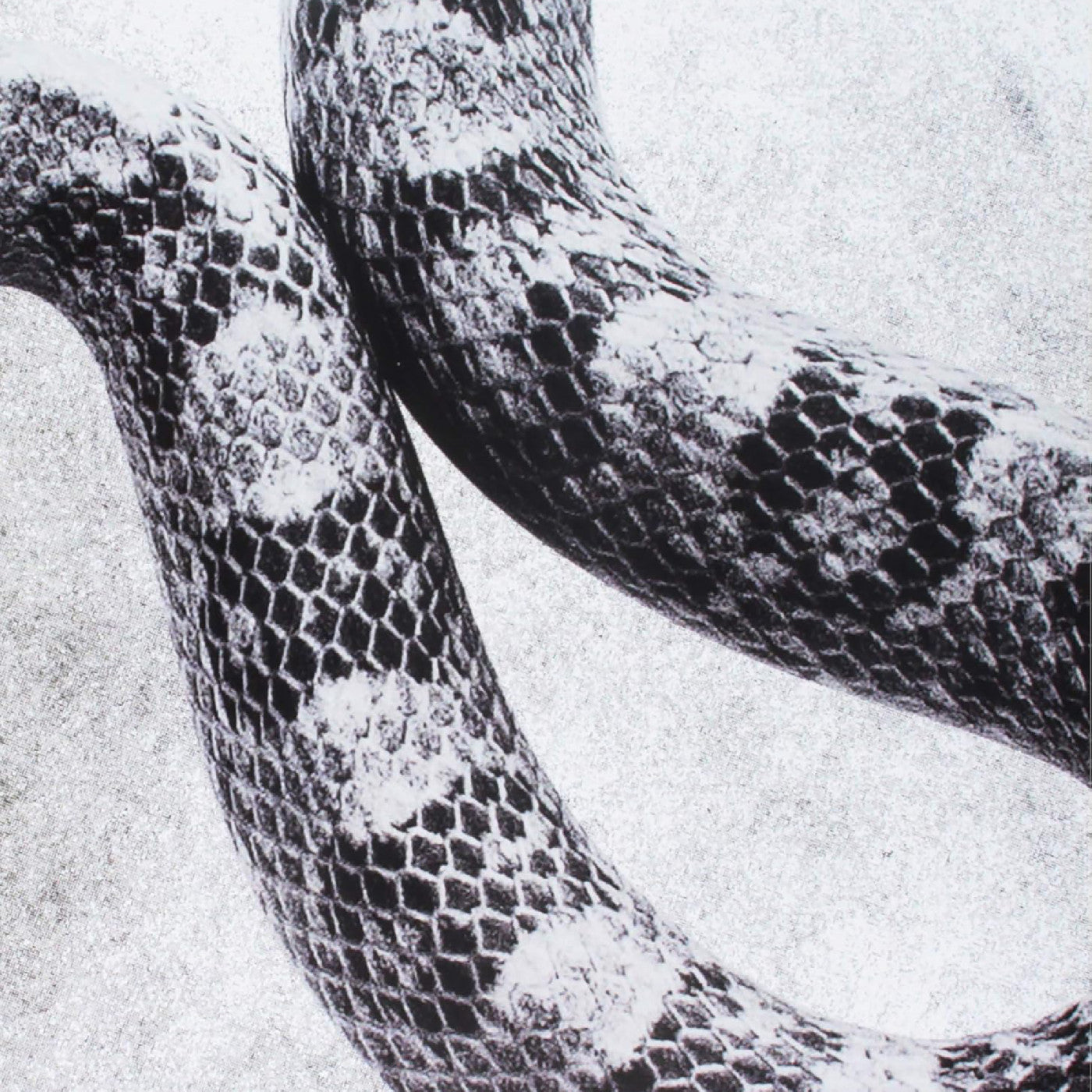 Noah Gundersen | I'M Alright/Fine | Vinyl