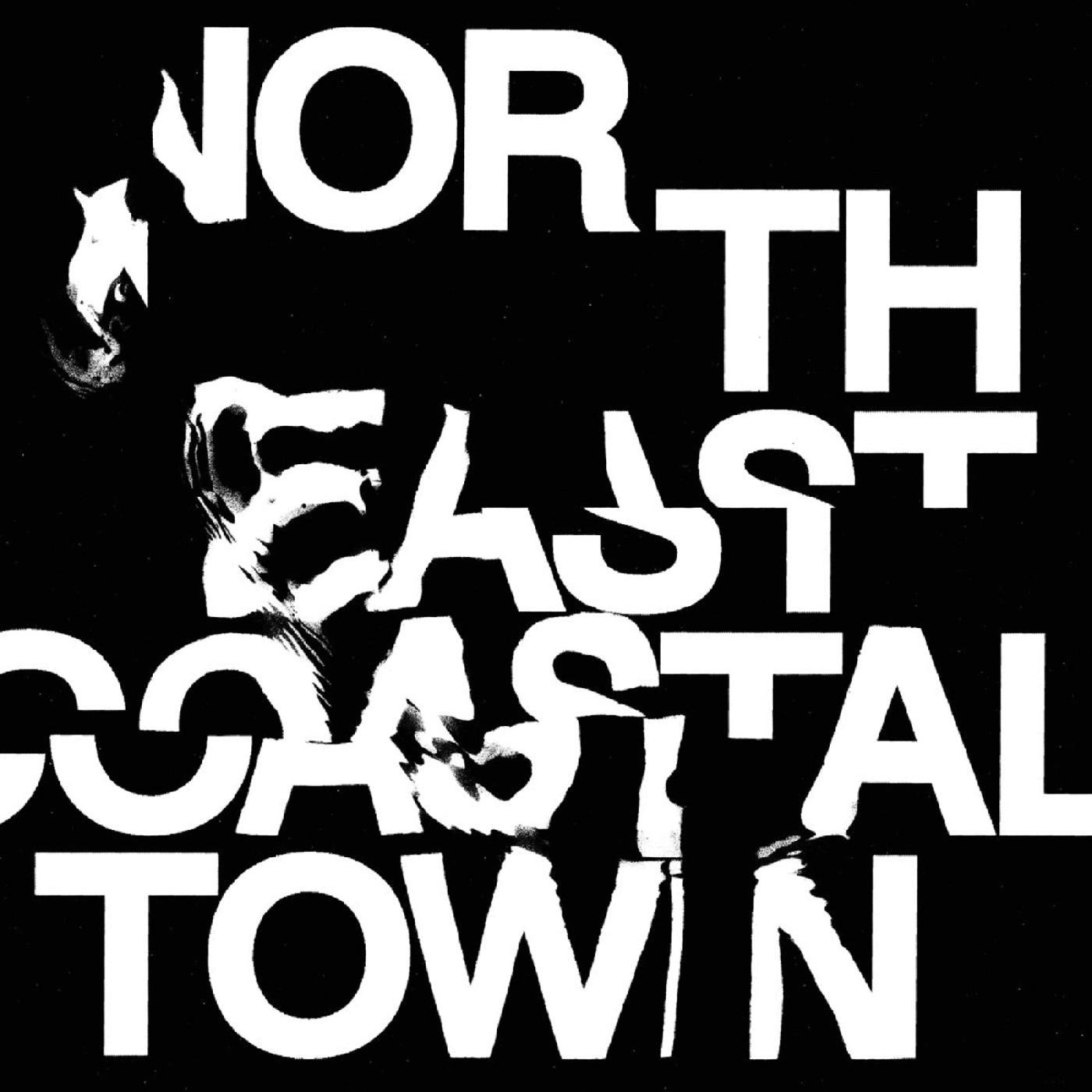 LIFE - North East Coastal Town | Vinyl