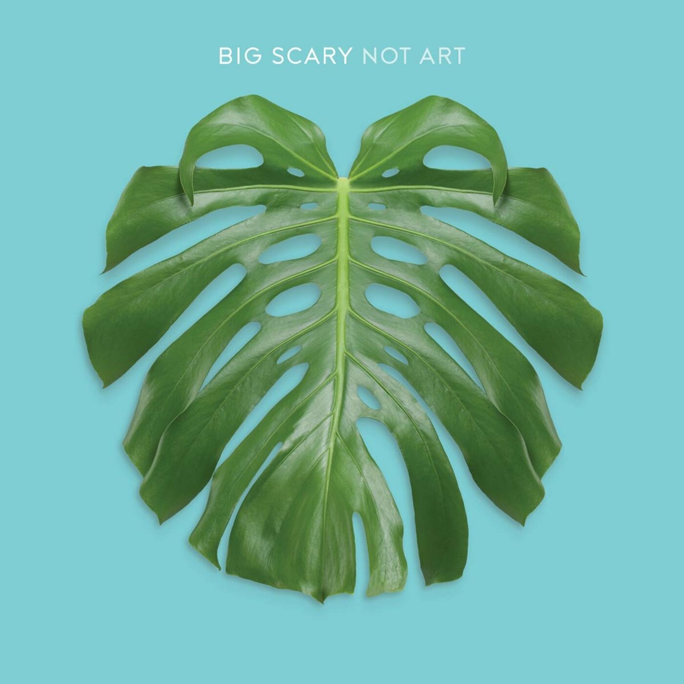 Big Scary - Not Art | CD