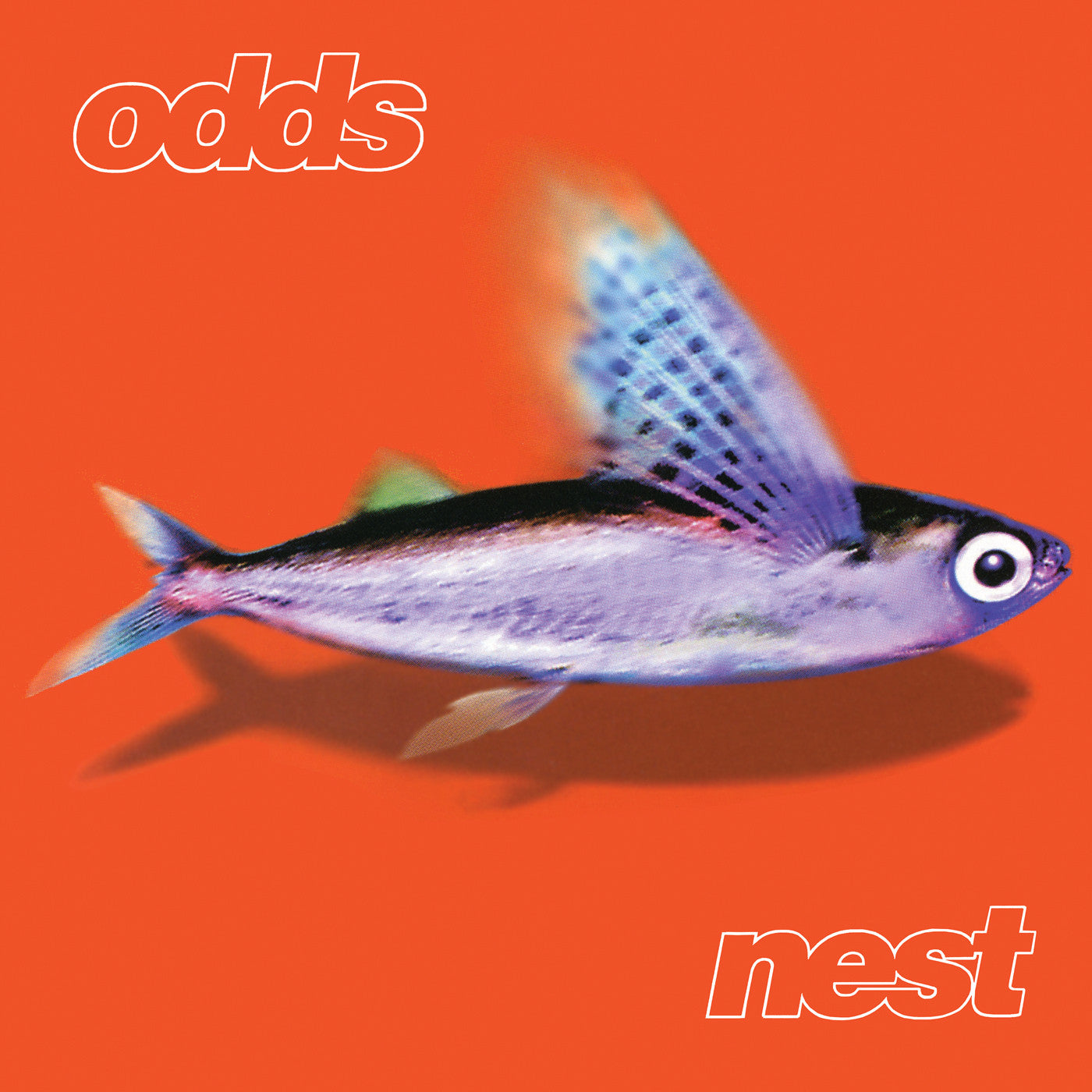 Odds | Nest | Vinyl