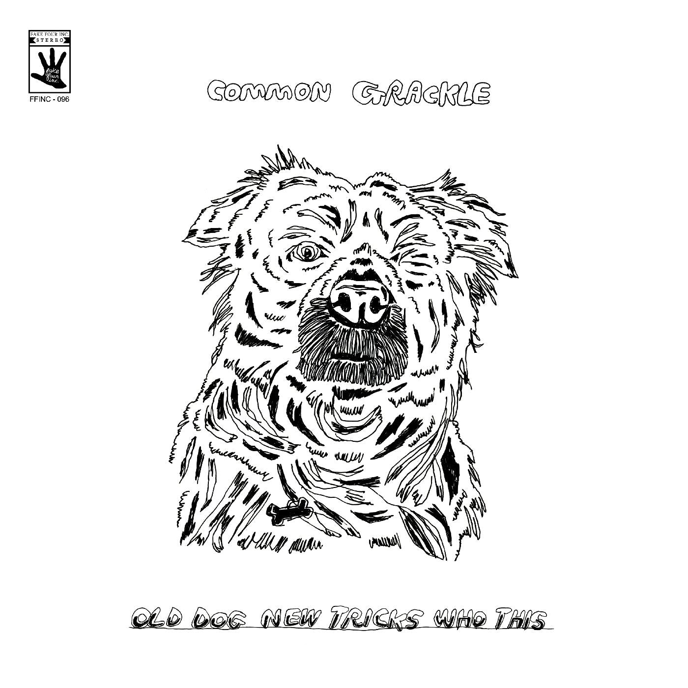 Common Grackle - Old Dog New Tricks Who This | Vinyl