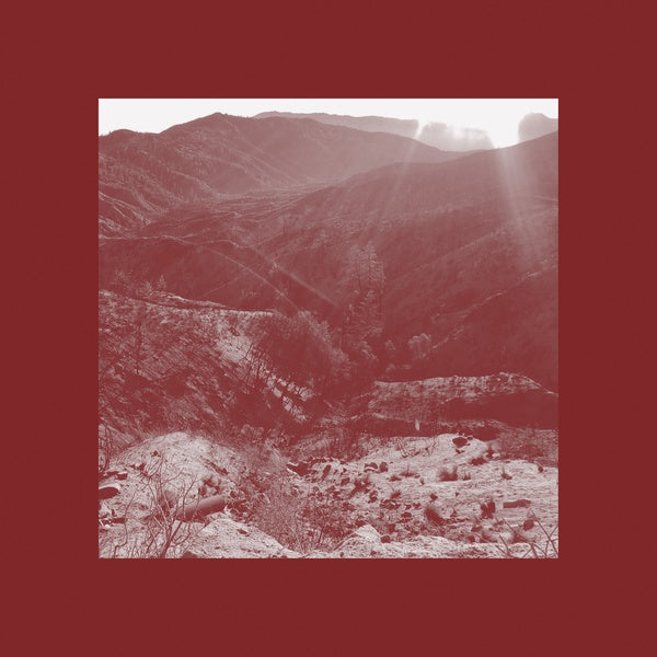 IAN WELLMAN - On The Darkest Day, You Took My Hand And Swore It Will Be Okay | CD