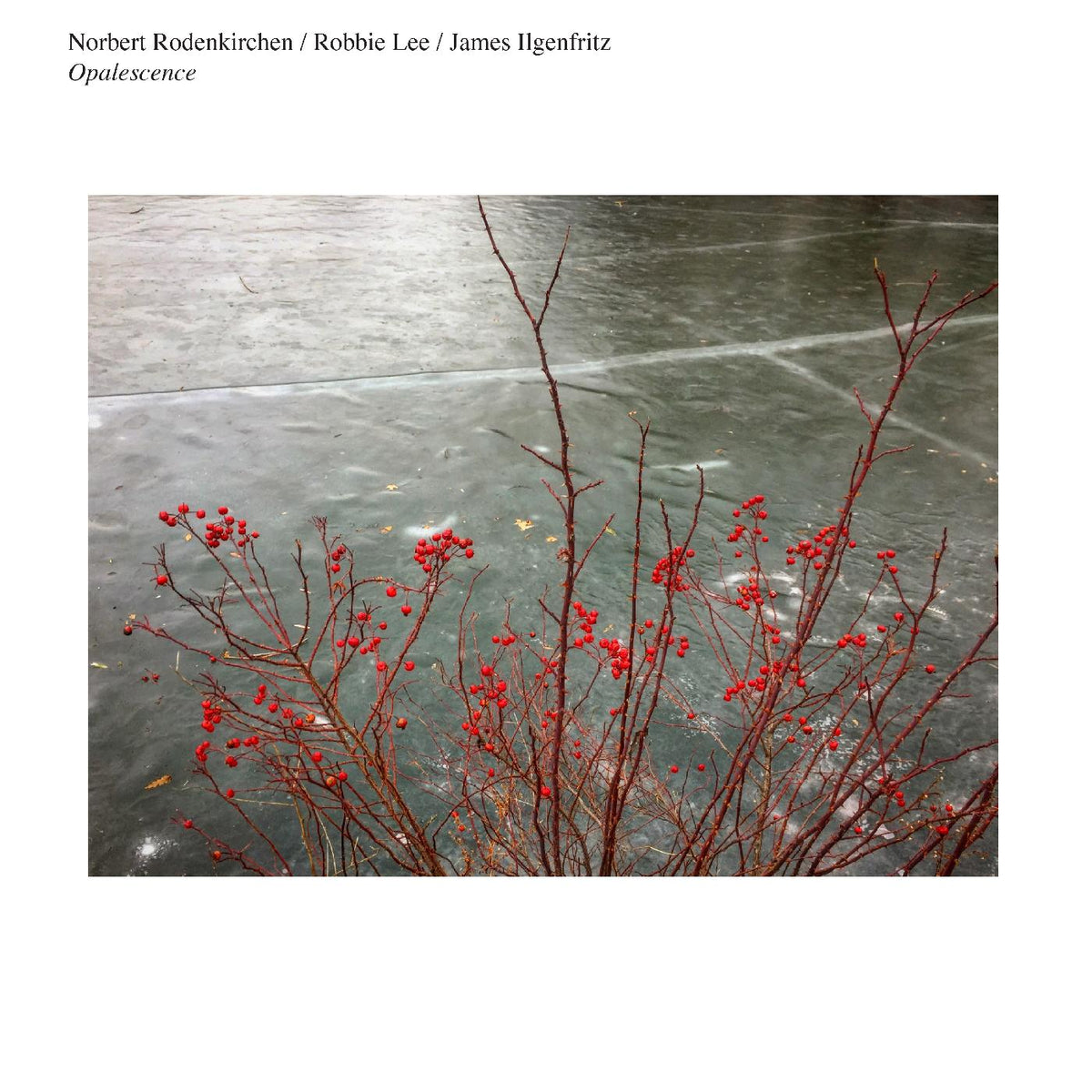 Norbert Rodenkirchen/Robbie Lee/James Ilgenfritz - Opalescence | Vinyl