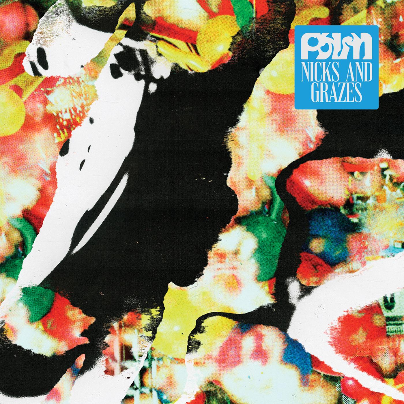 Palm | Nicks And Grazes (Indie Exclusive "Dutch Orange" Vinyl) | Vinyl