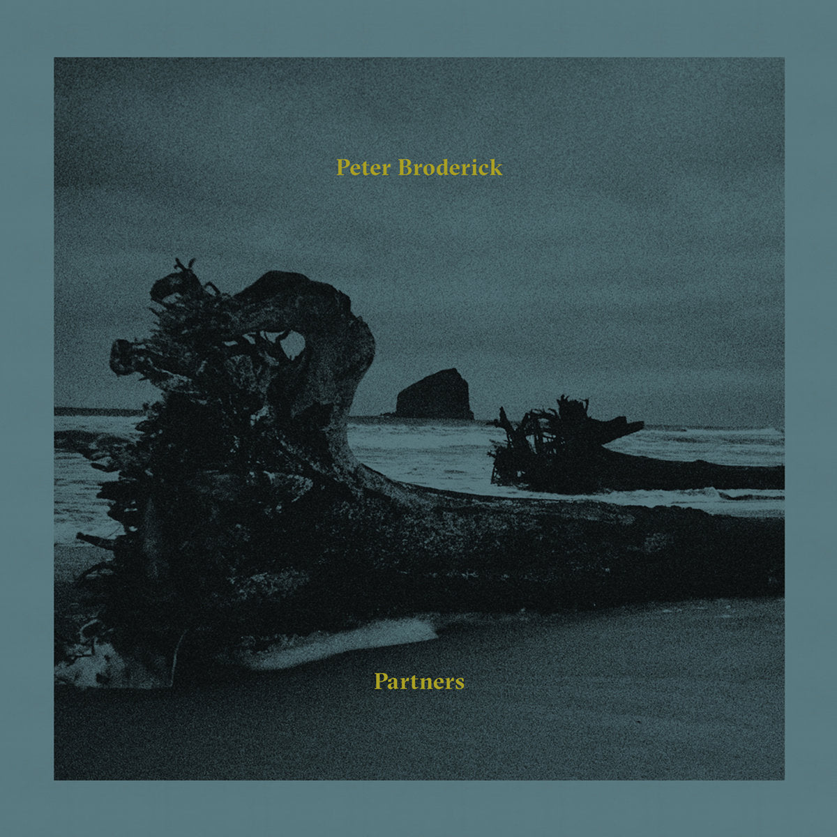 Peter Broderick - Partners | Vinyl