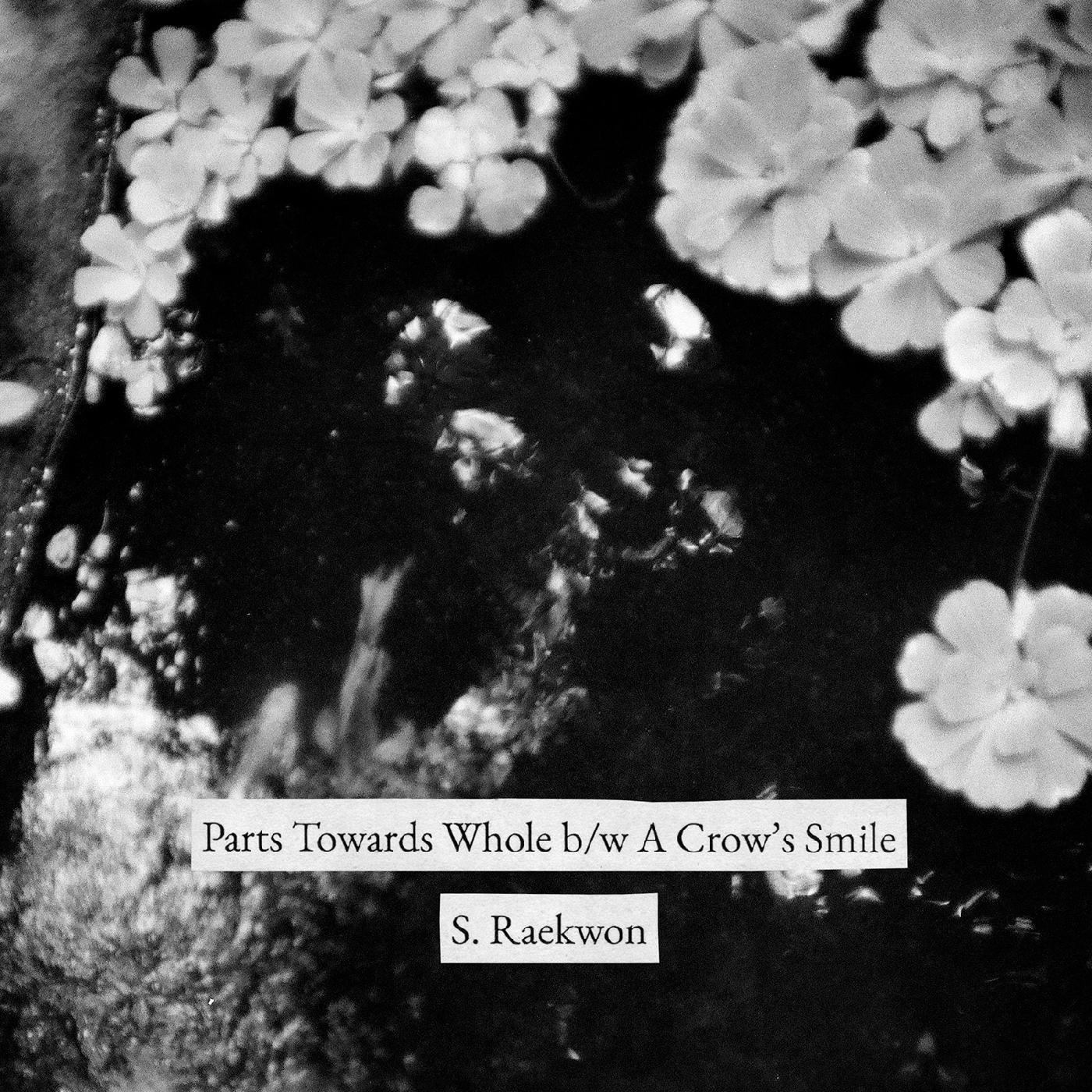 S. Raekwon - Parts Towards Whole b/w A Crow's Smile | Vinyl