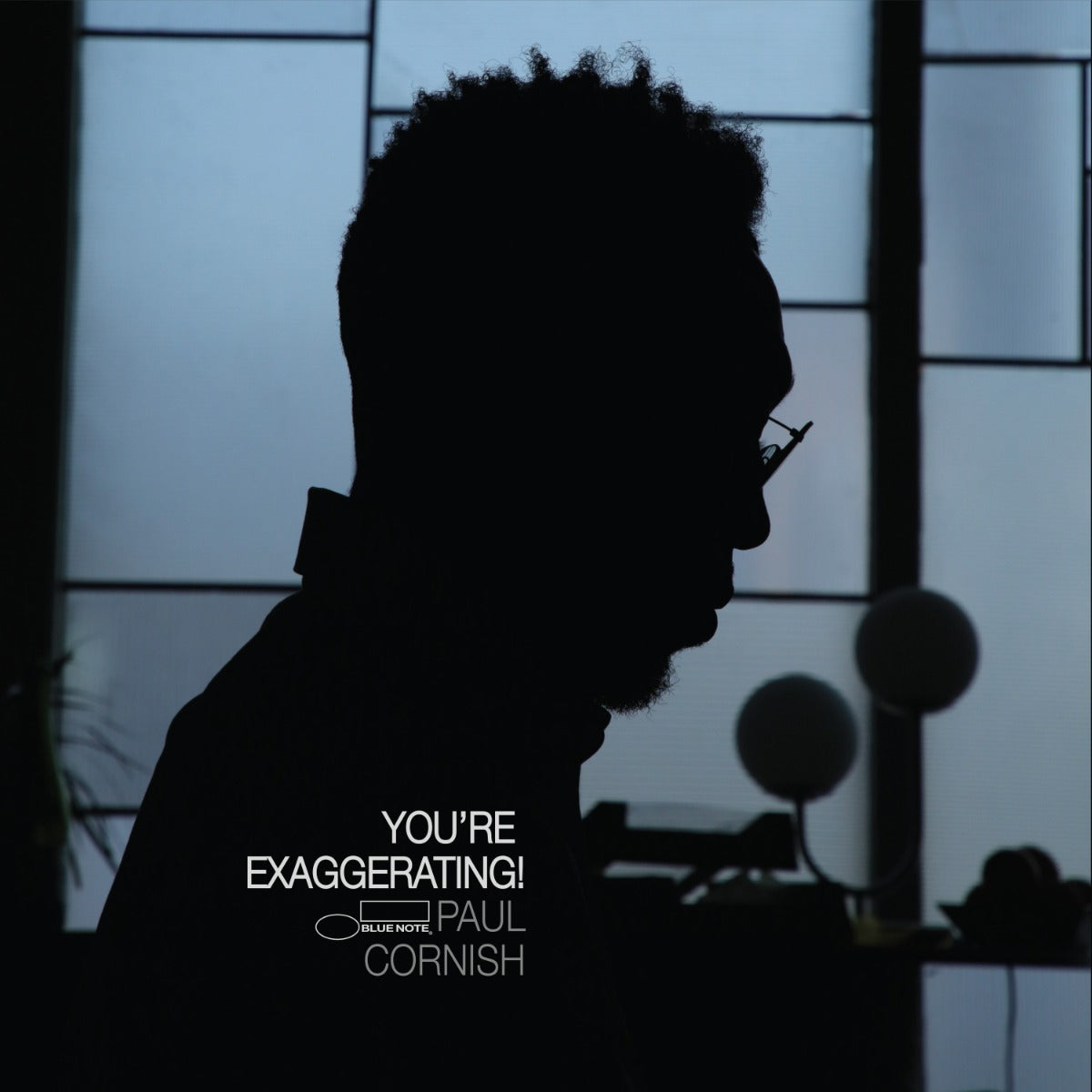 Paul Cornish - You'Re Exaggerating! | CD
